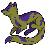 Stoat-1182-97-2-40-0-143.png
