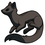 Stoat-27110-134-1-21-0-81.png