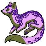 Stoat-32975-175-1-98-2-39.png