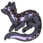 Stoat-7995-13-9-31-2-140.png