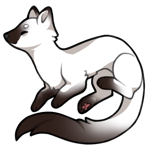 Stoat-8125-4-6-140-0-165.png