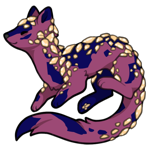 Stoat-T1439-173-2-46-1-110.png