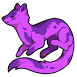 Stoat-T2575-35-2-37-0-125.png