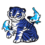 Tiger21176-C-50-3-2-3-14.png
