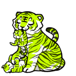 Tiger28033-C-92-3-3-3-69.png