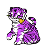 Tiger35313-C-35-3-2-3-62.png