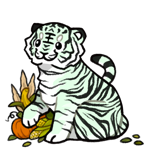 Tiger53590-C-71-4-2-1-98.png Tiger53590-C-71-4-2-1-98.png