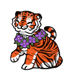 Tiger54581-C-124-2-2-2-33.png