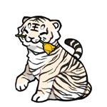 Tiger57938-C-2-2-3-2-62.png