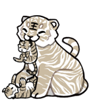 beige and white tiger with cubs adopt by 888 & Psi